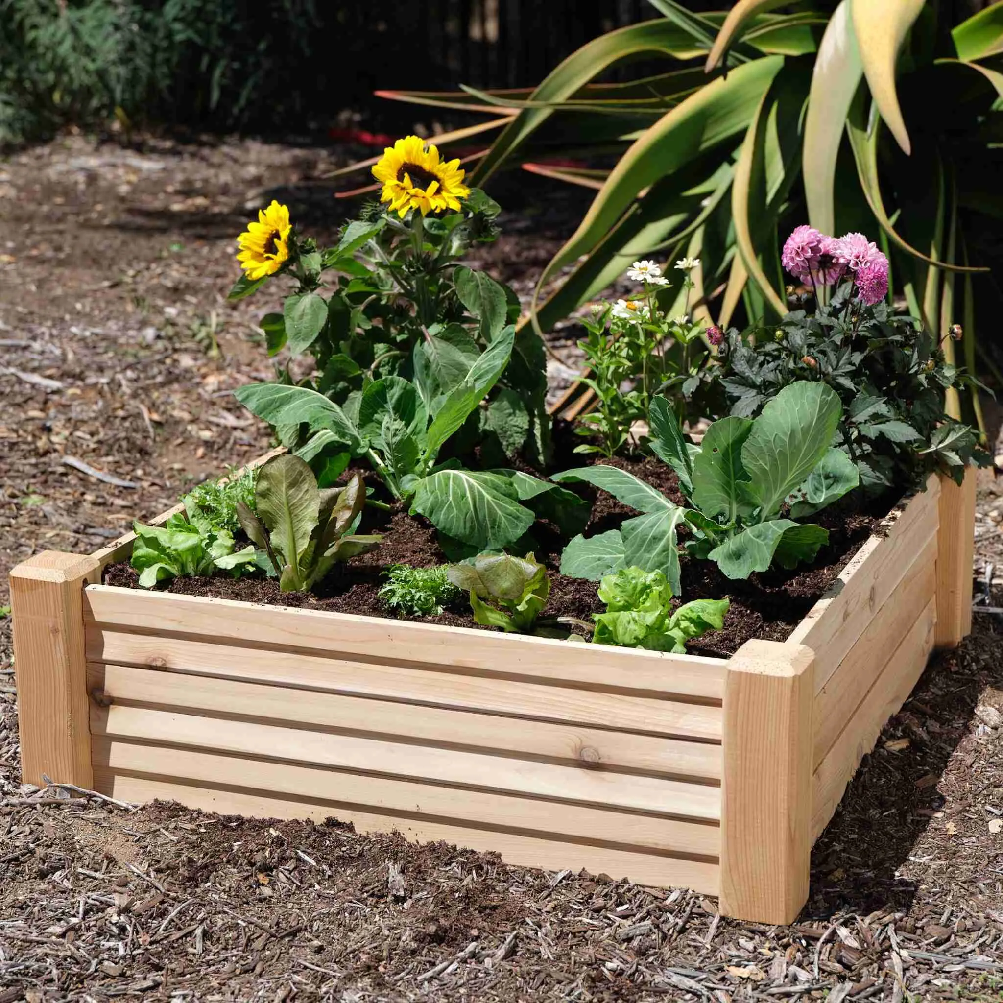 3-Minute Raised Bed and Extension Kit