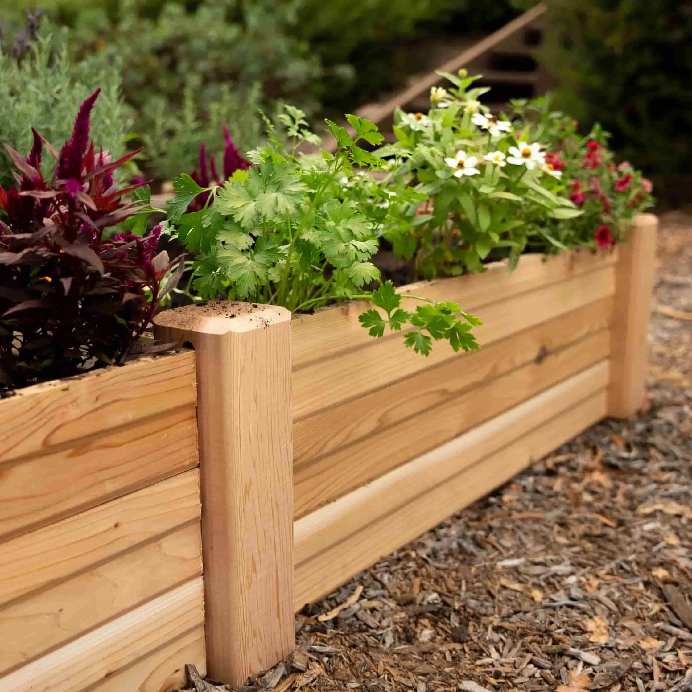 3-Minute Raised Bed and Extension Kit