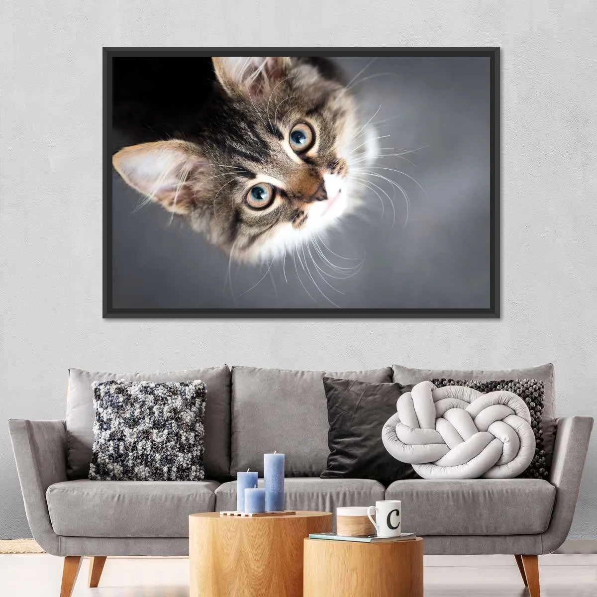 A Cat Wall Art