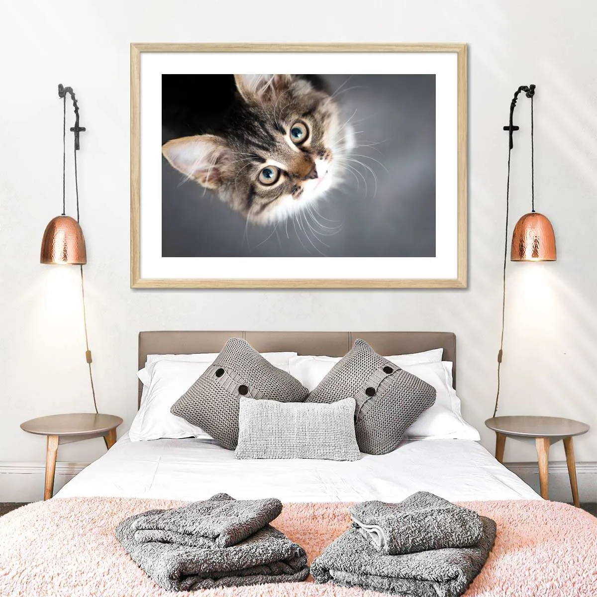 A Cat Wall Art