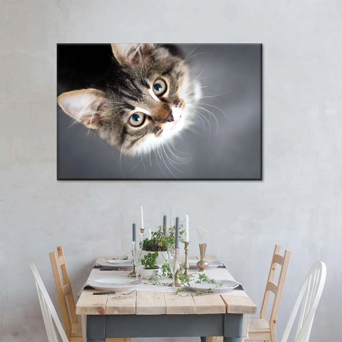 A Cat Wall Art