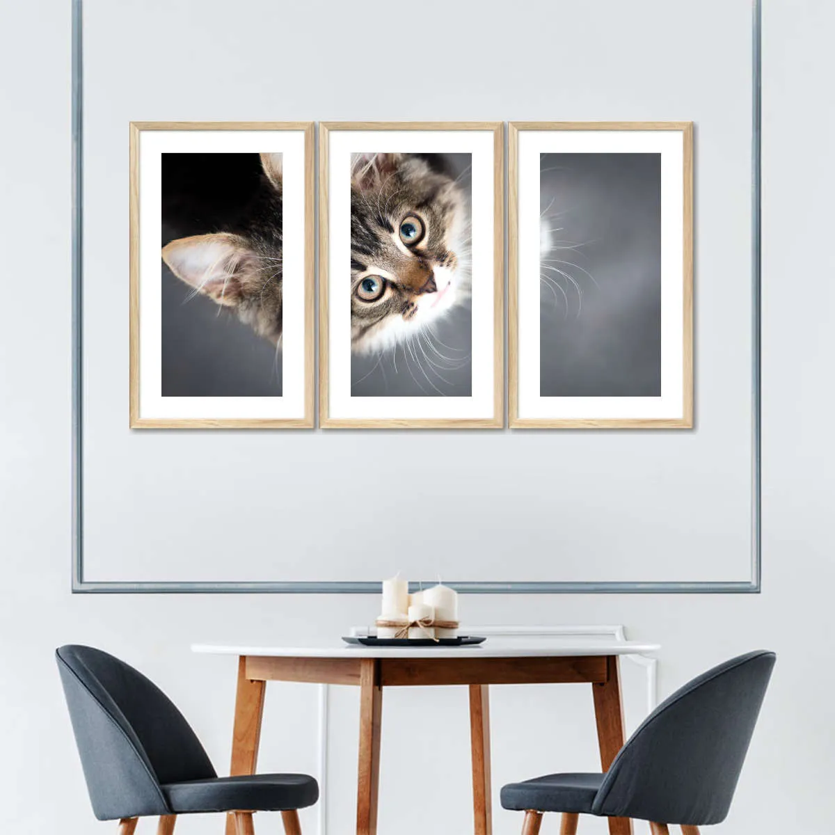 A Cat Wall Art