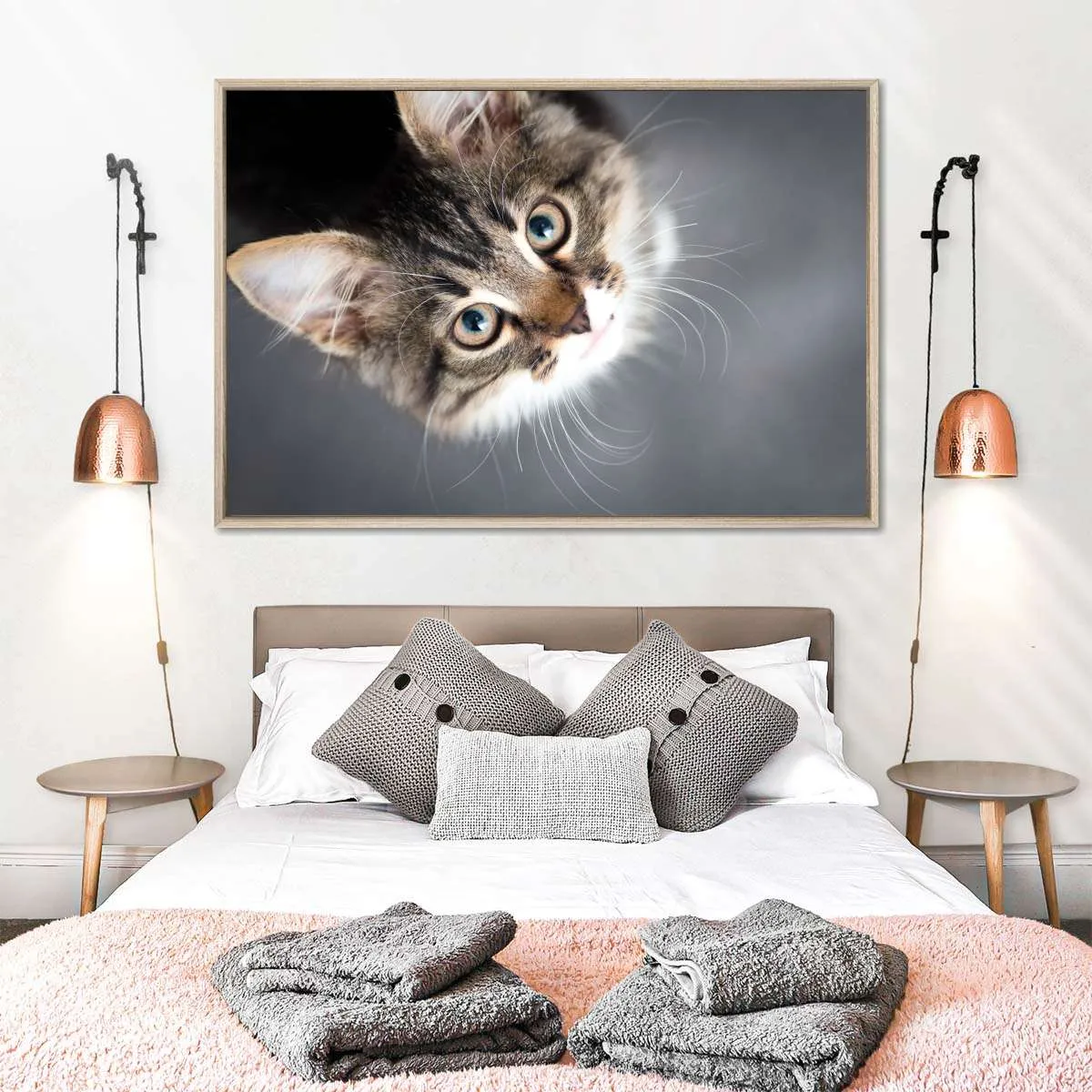 A Cat Wall Art