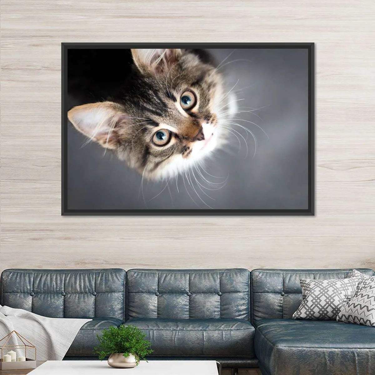 A Cat Wall Art