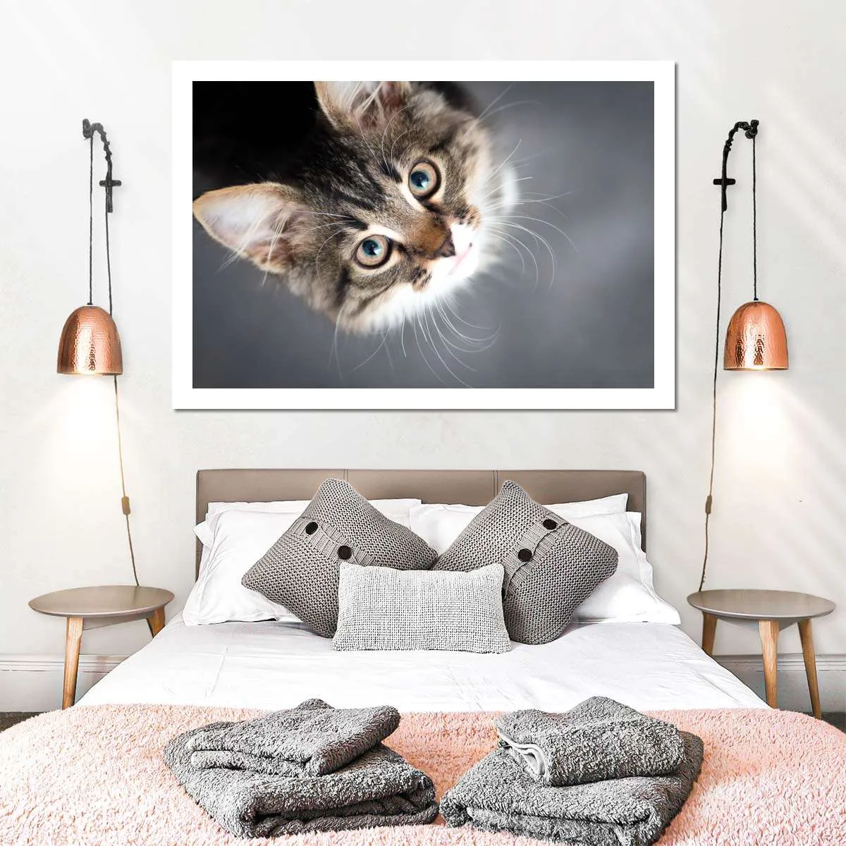 A Cat Wall Art