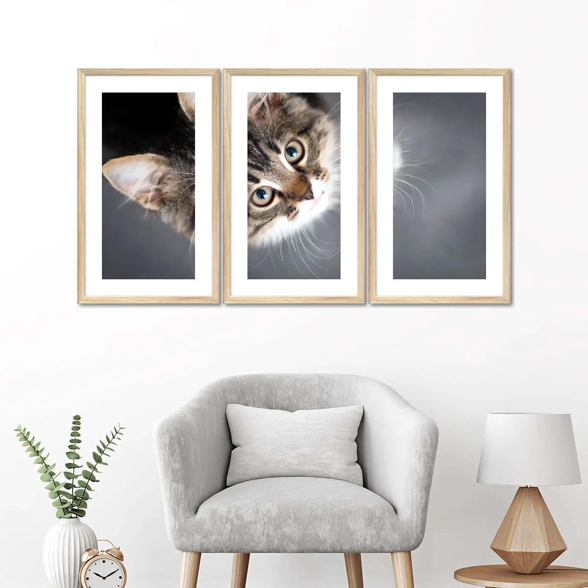 A Cat Wall Art