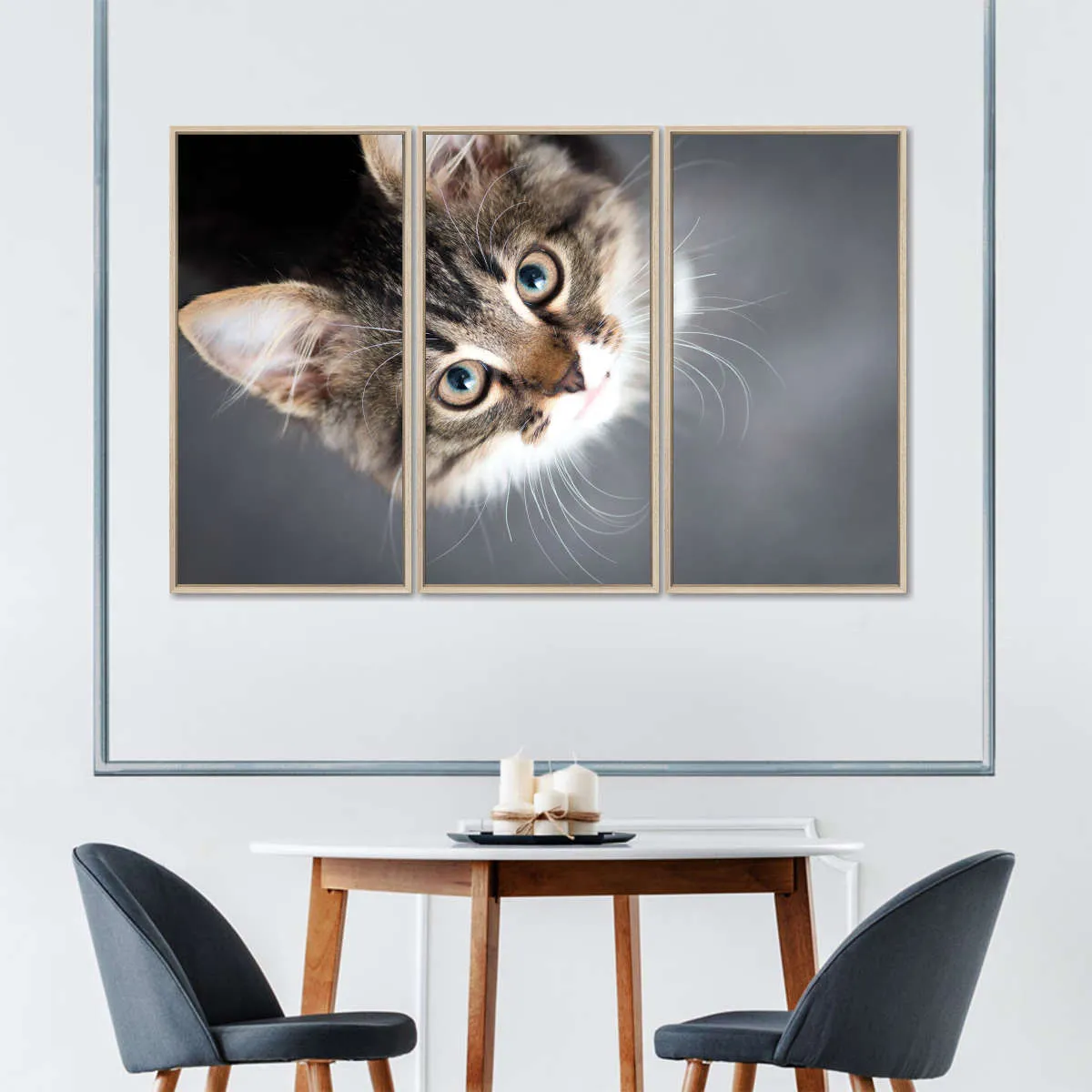 A Cat Wall Art