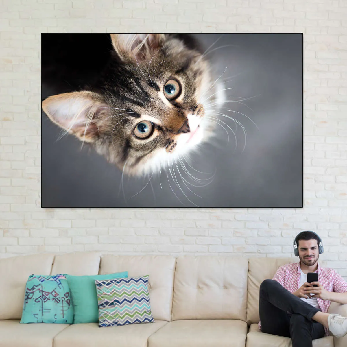 A Cat Wall Art