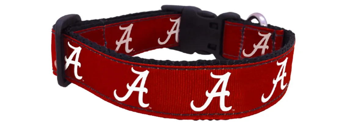 All Star Dog Collar