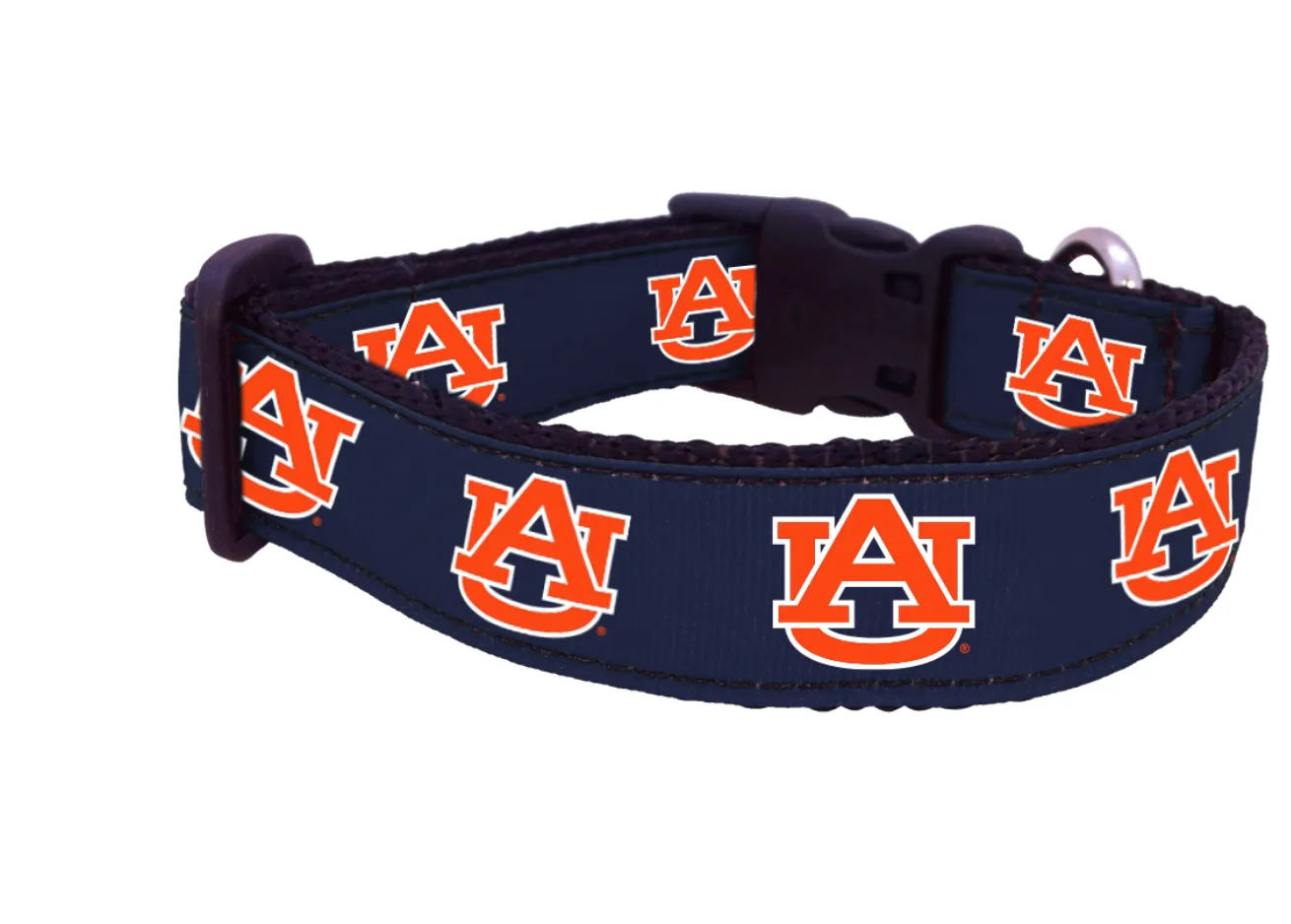 All Star Dog Collar