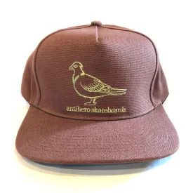 Antihero Basic Pigeon Snapback Hat - Brown Khaki