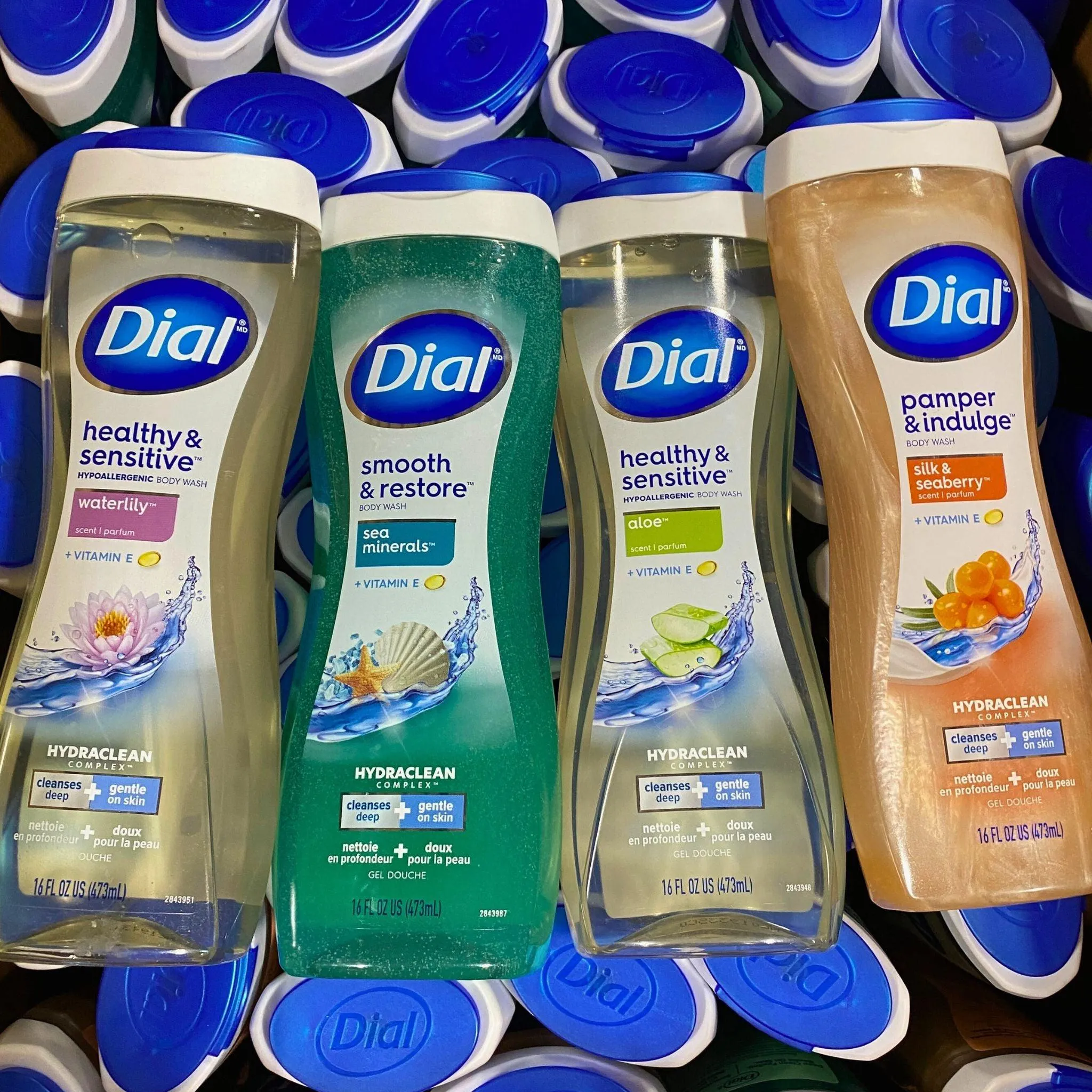 Assorted Dial Body Wash 16fl.oz ( 50 Pcs Box )