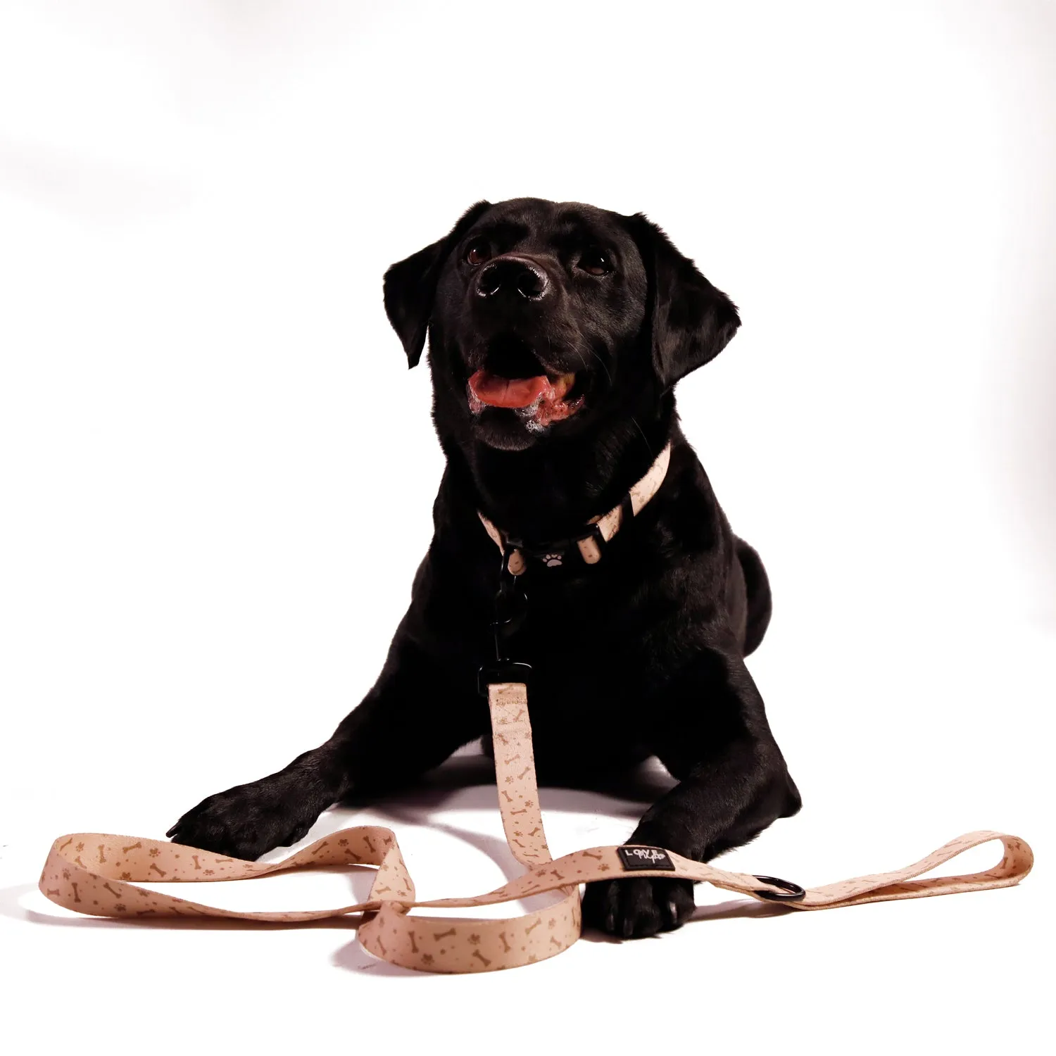 Beige Bones Collar