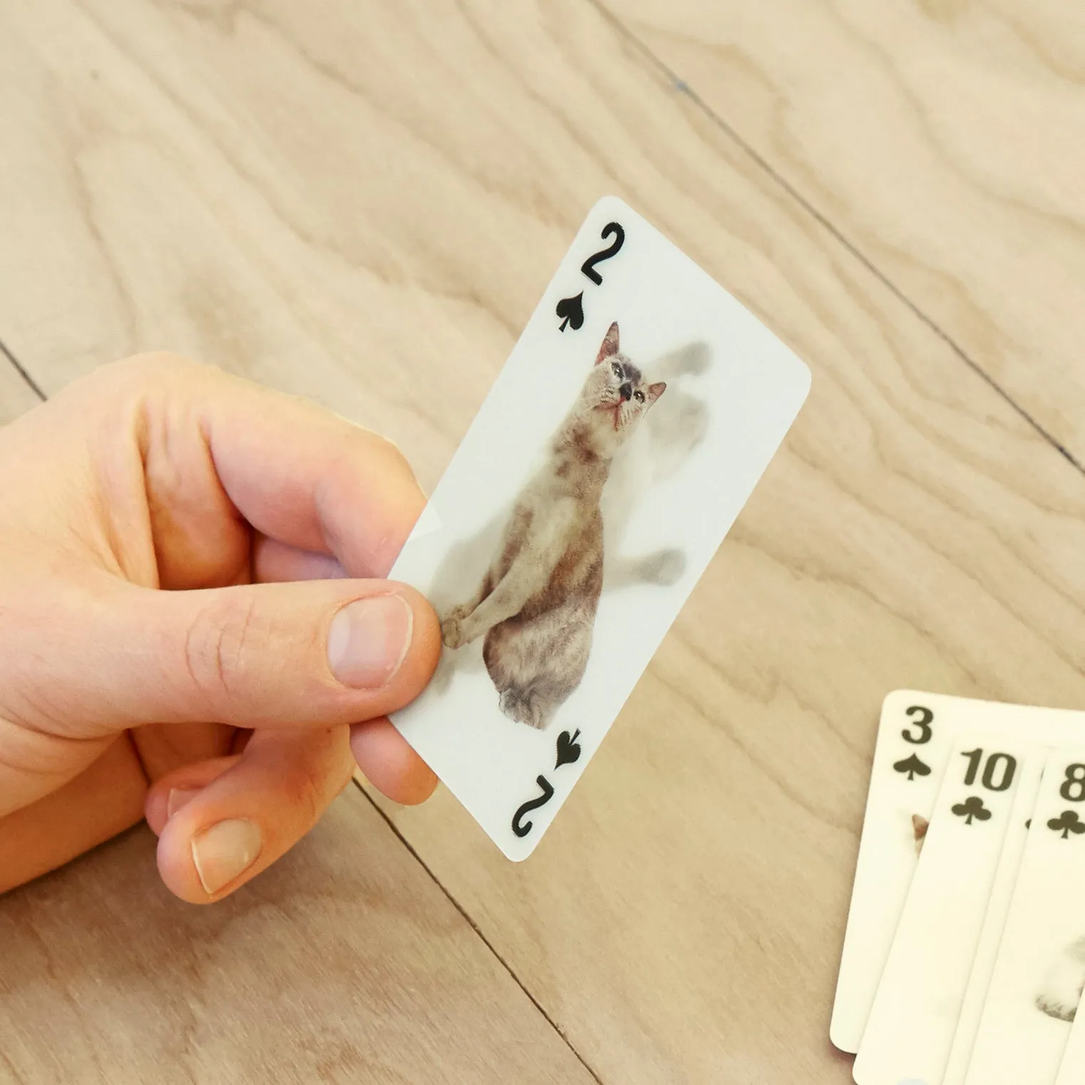 Cat 3D Playing Cards