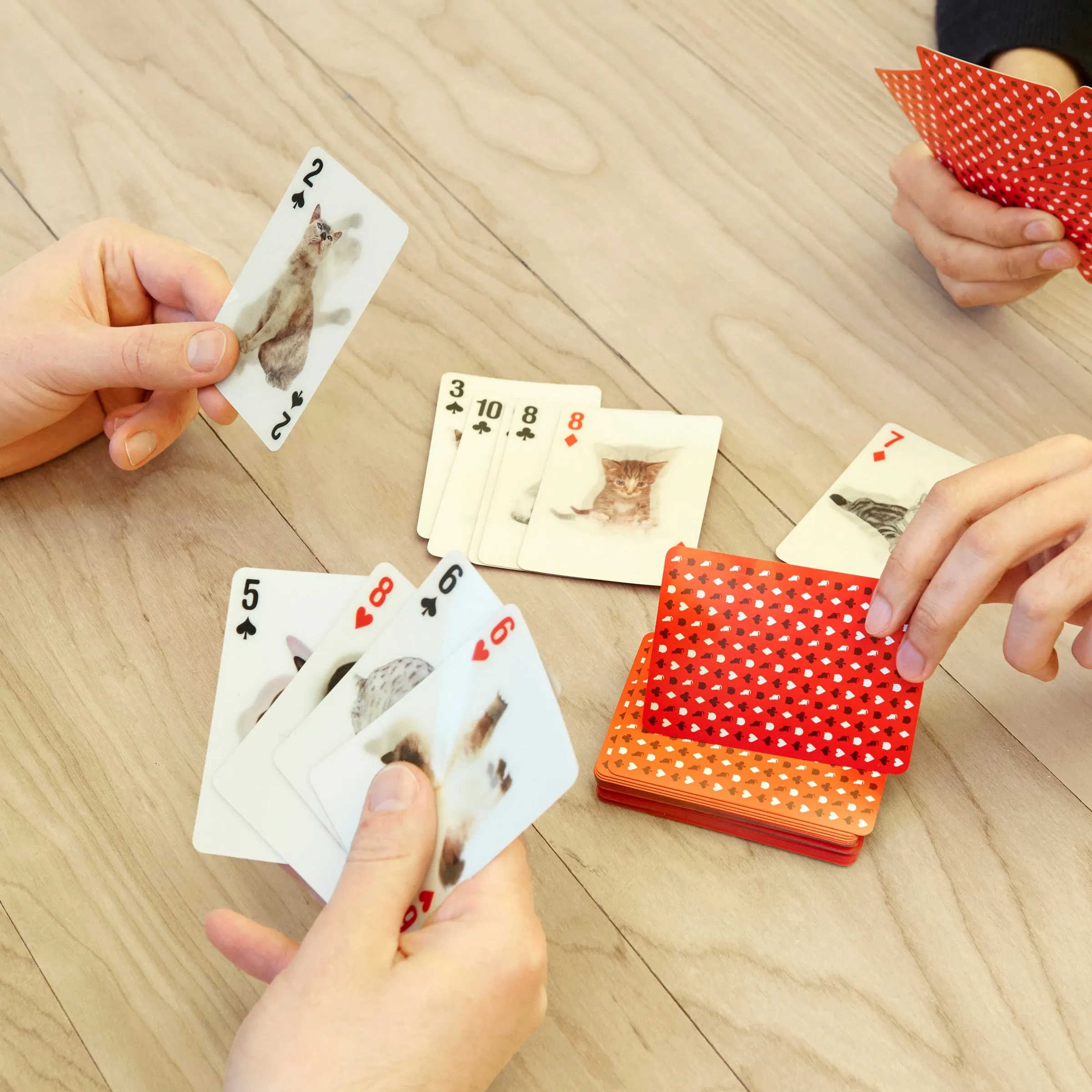 Cat 3D Playing Cards