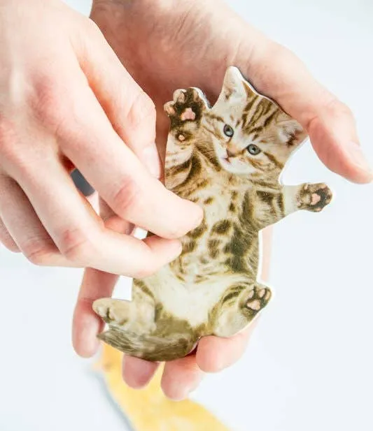 Cat Scratch Nail File