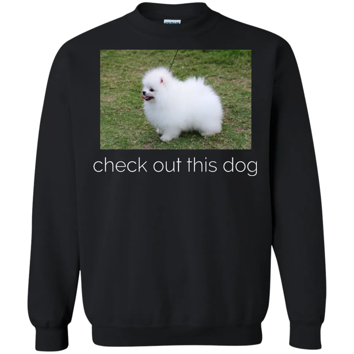 Check out this dog ask me to turn around shirt, sweater