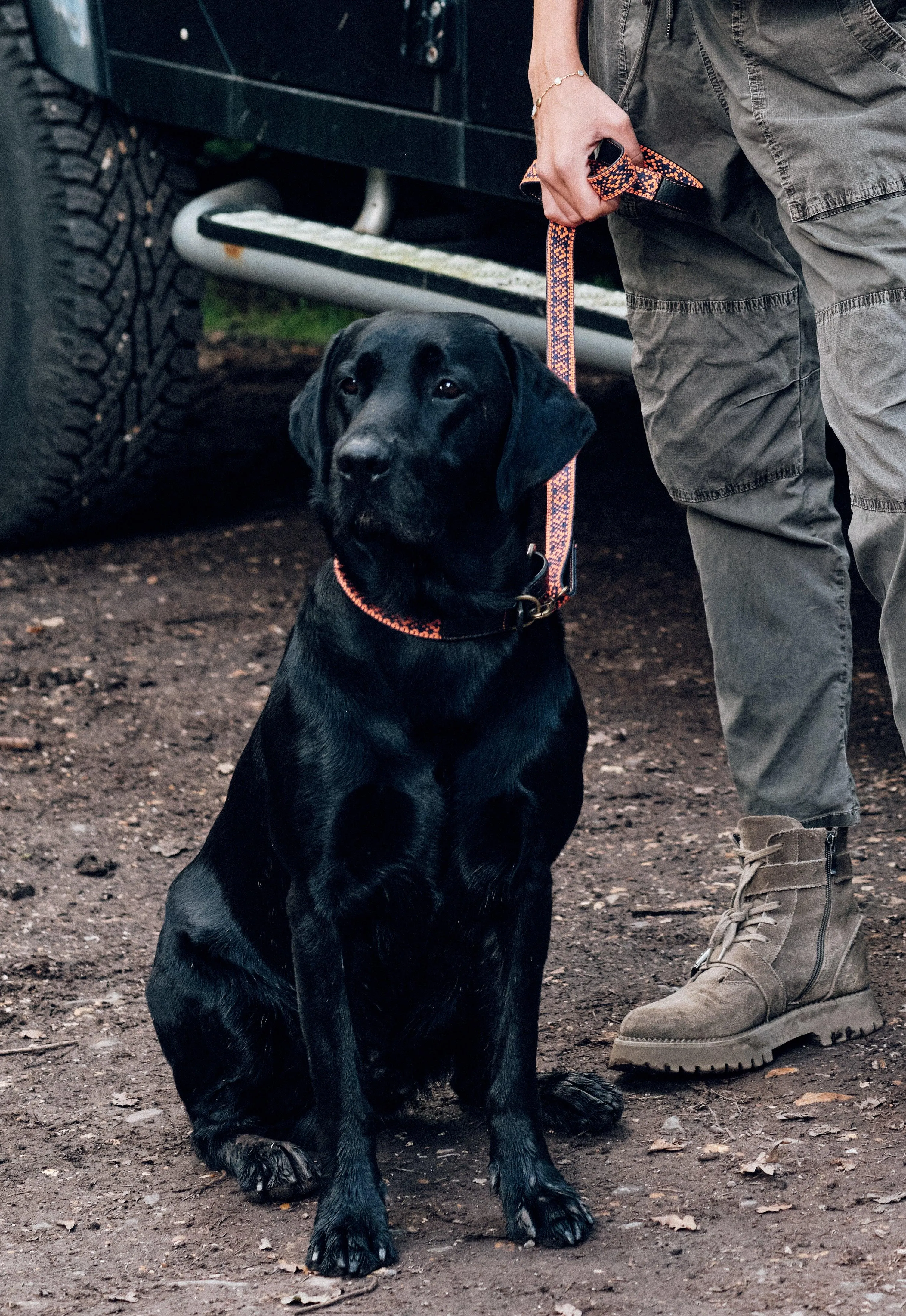 Collar and Lead Set - Orange & Navy