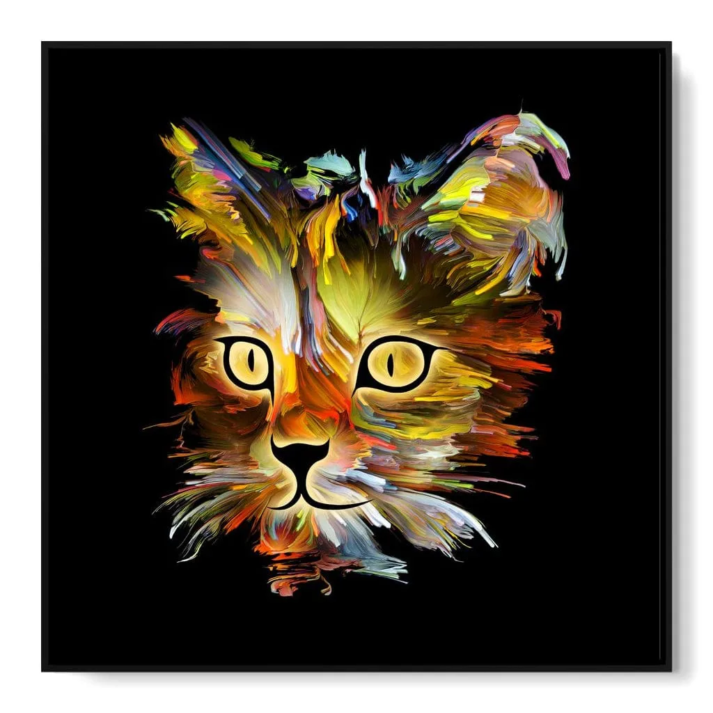 Colorful Cat on Black Background