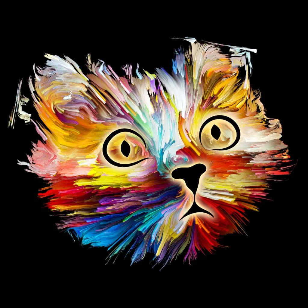 Colorful Cat