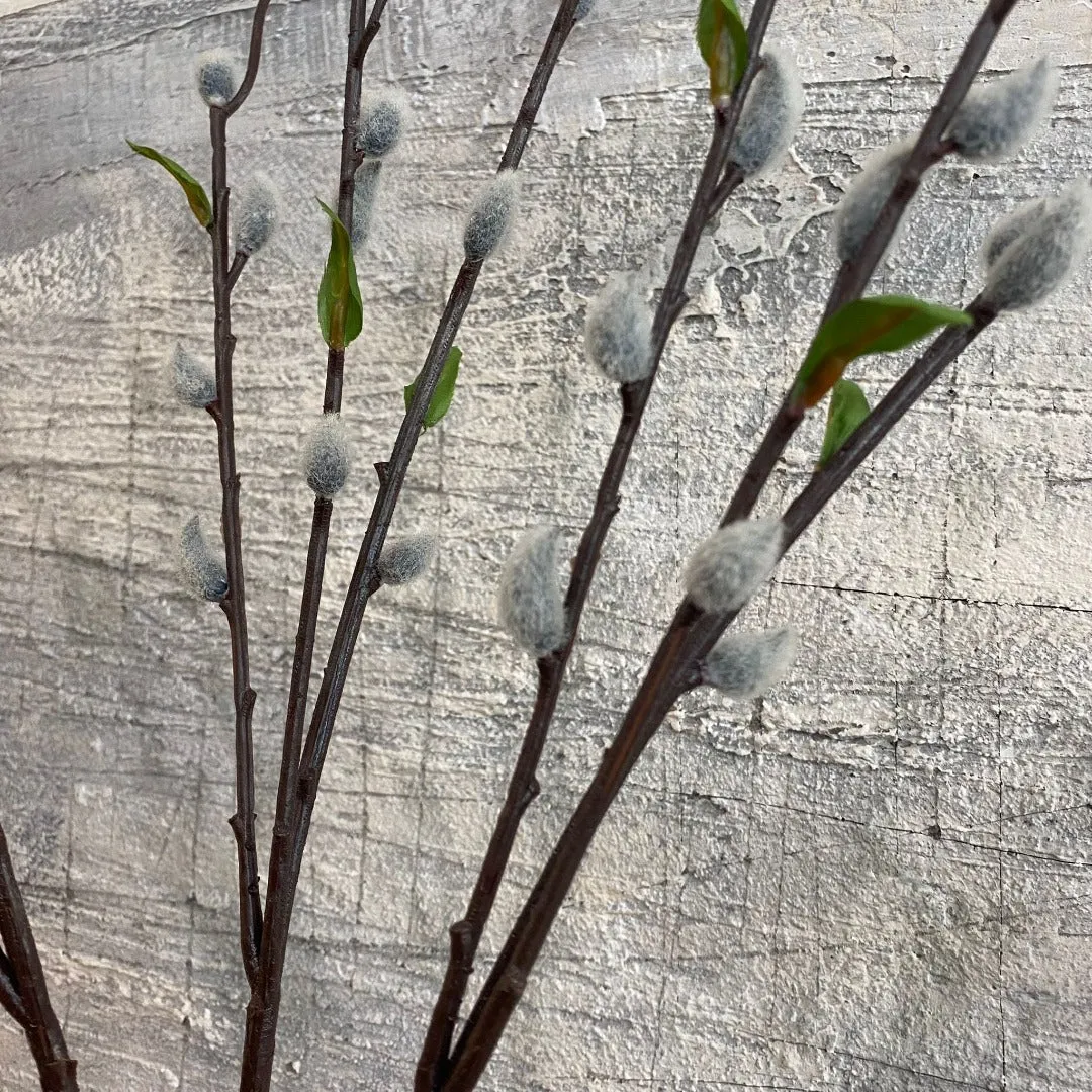 Faux Pussy Willow Stem with Leaves 85cm