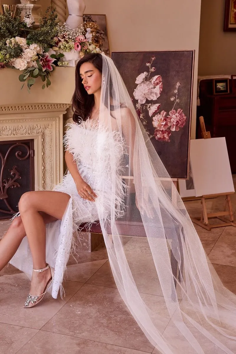 FLORENCE Cathedral Length Off White Sparkling Tulle Bridal Veil