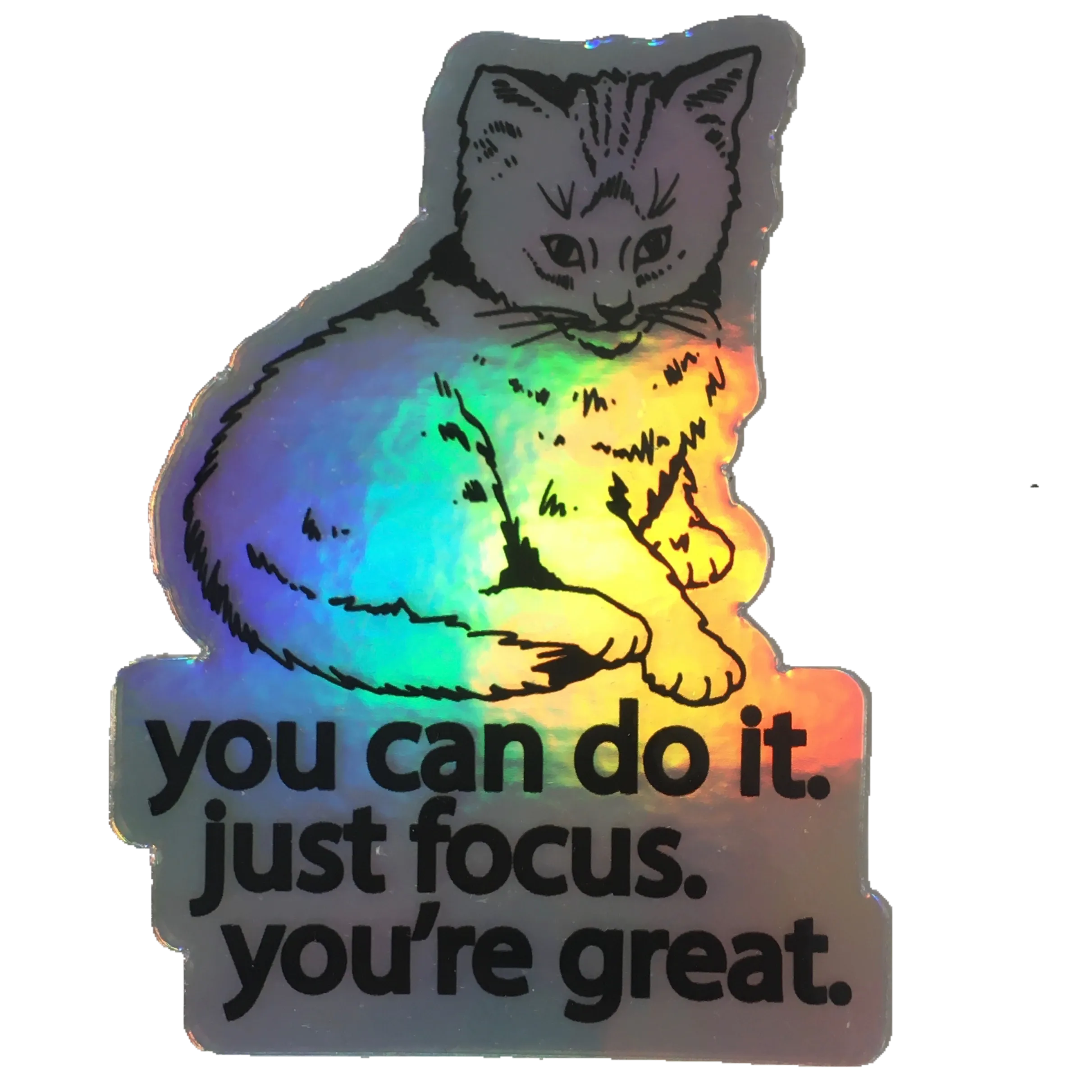 Focus Cat Holographic Sticker