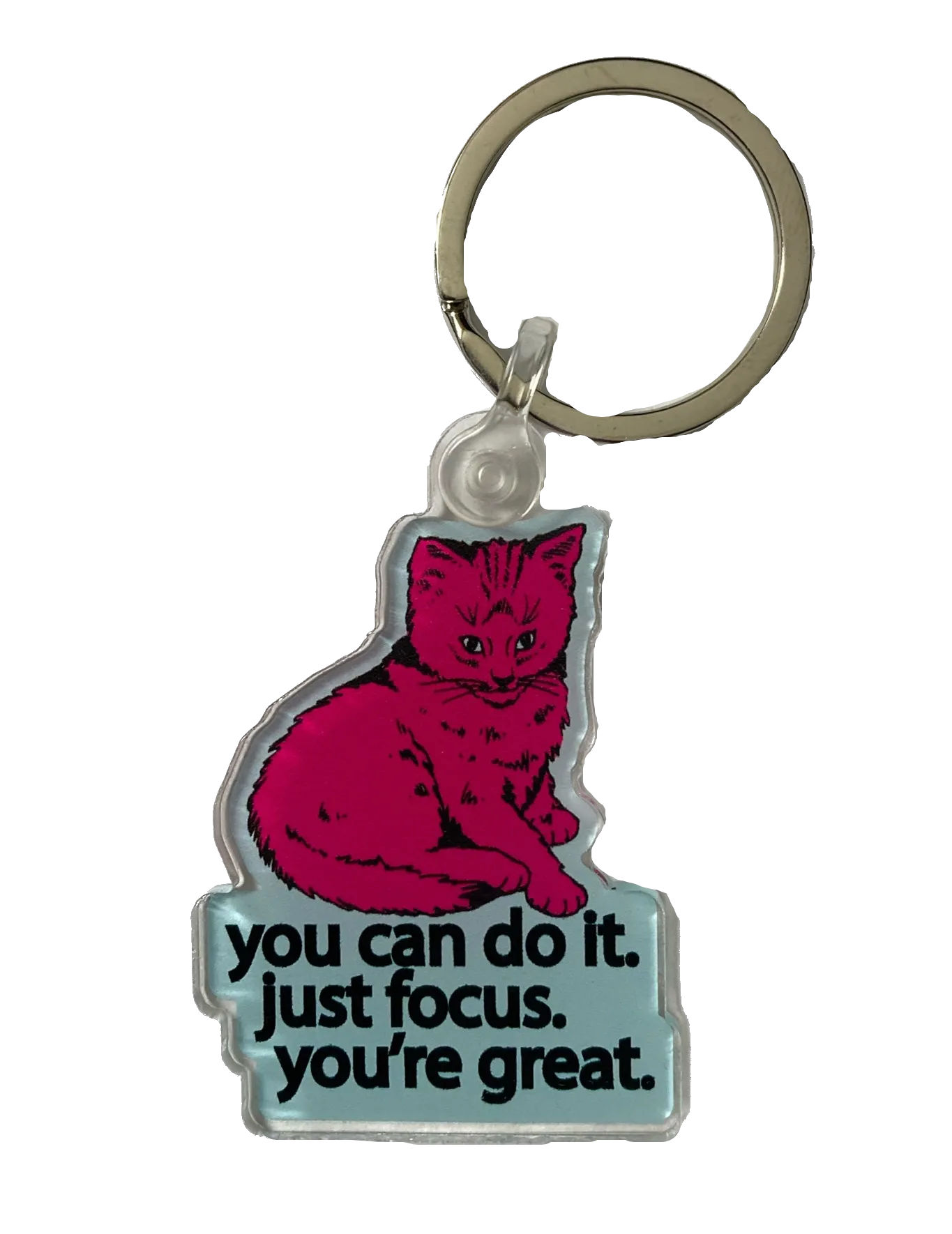 Focus Cat Key Chain