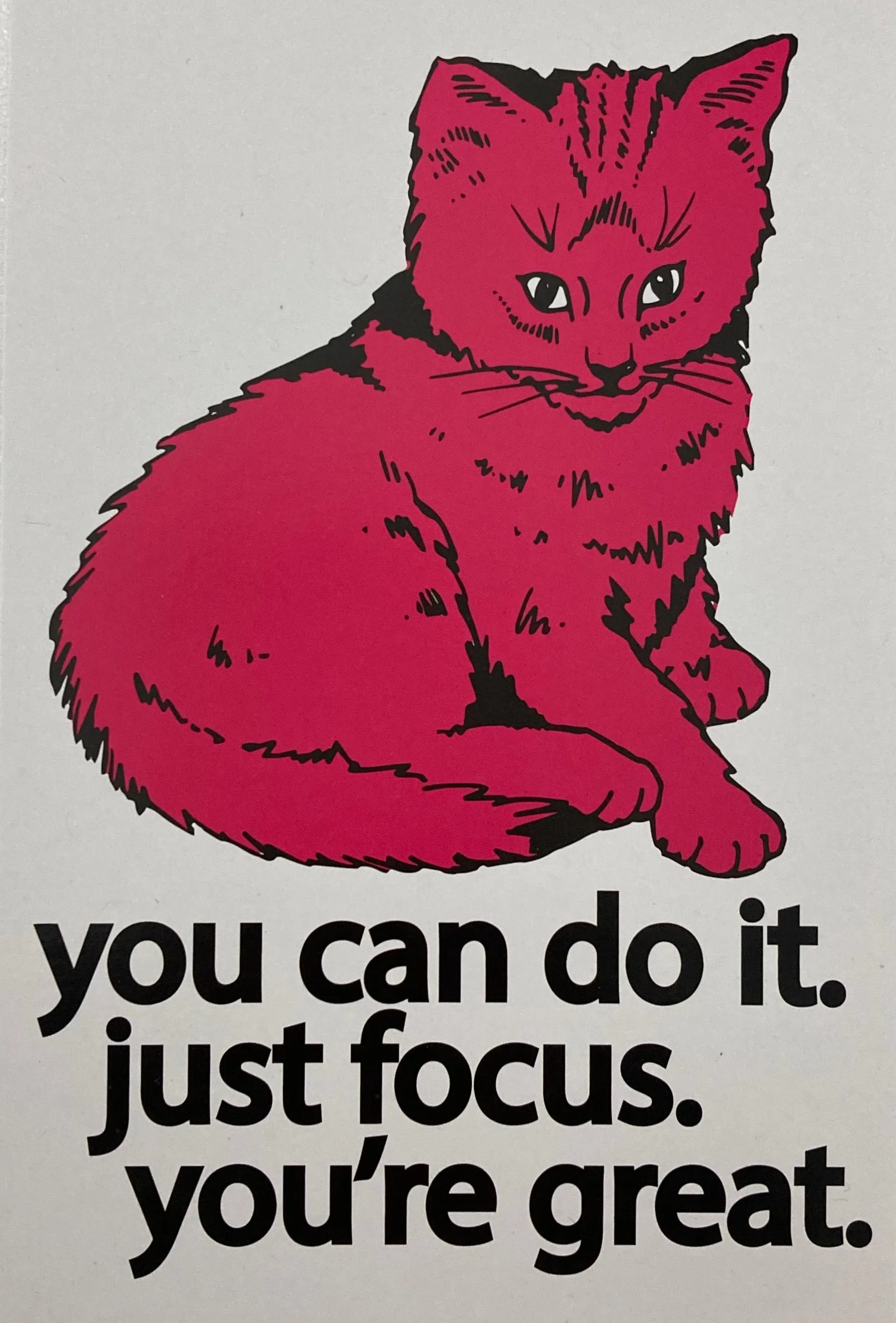 Focus Cat Postcard