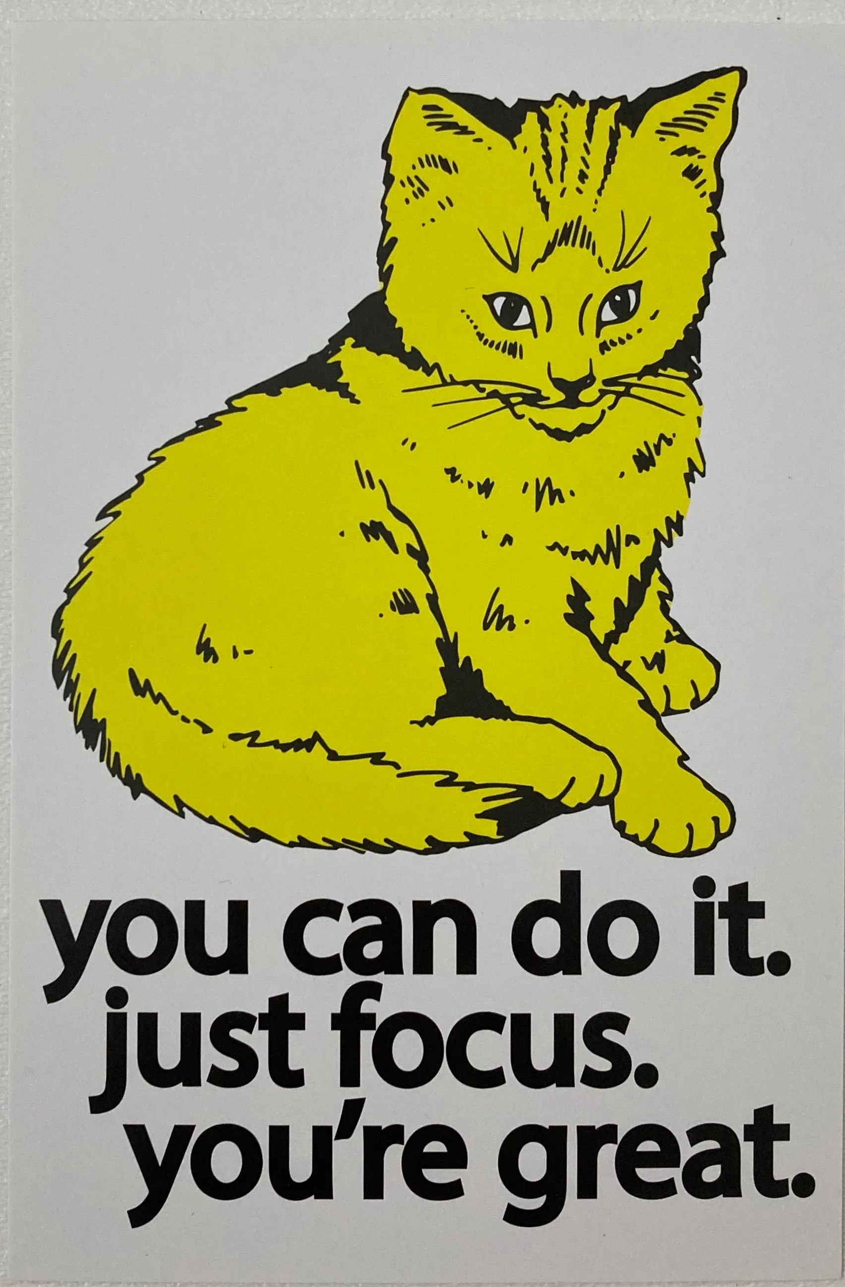 Focus Cat Postcard