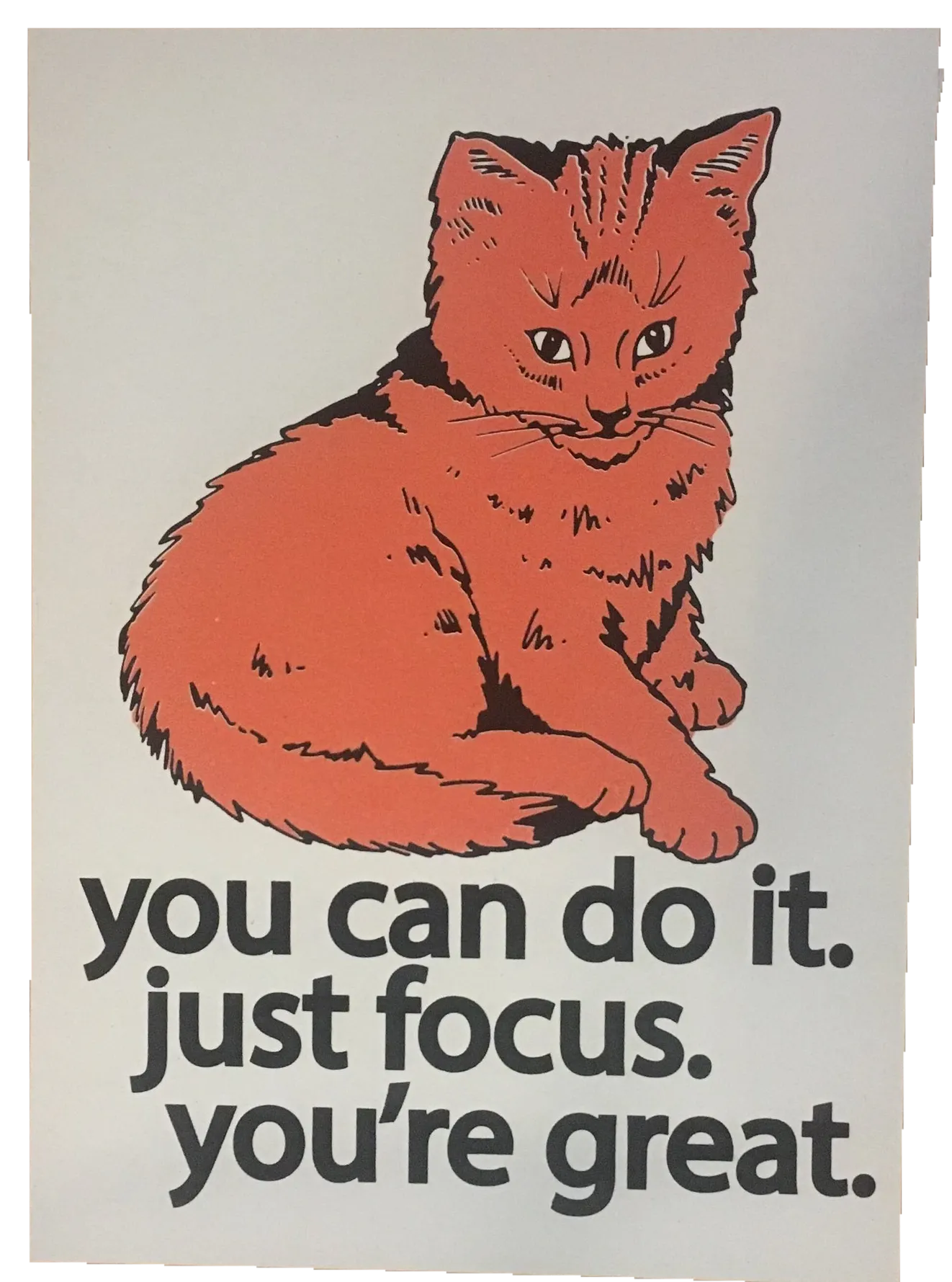 Focus Cat Print - Orange