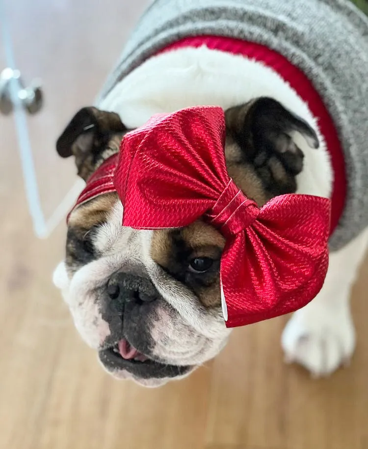 Frenchiestore Pet Head Bow | Metalic Red