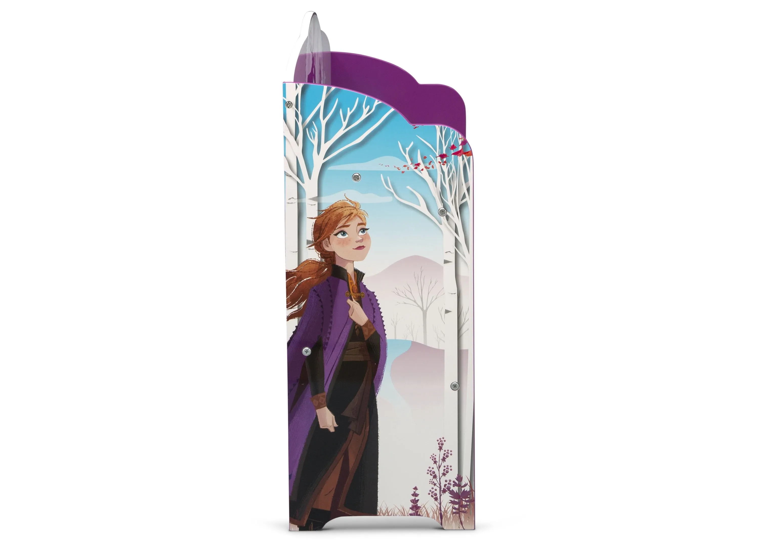 Frozen II Deluxe Toy and Book Organizer