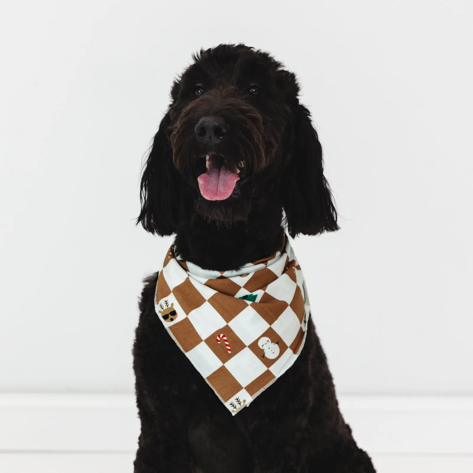 Holiday Checks Pet Bandana