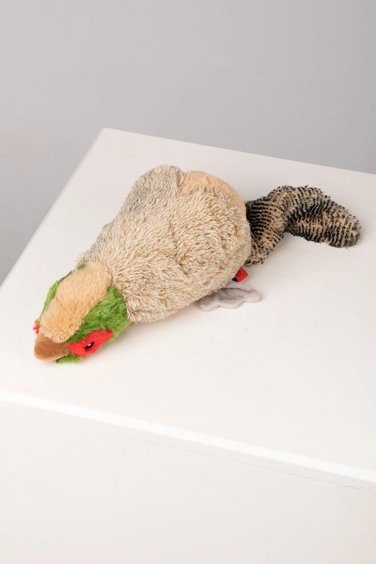 Honking Pheasant Dog Toy