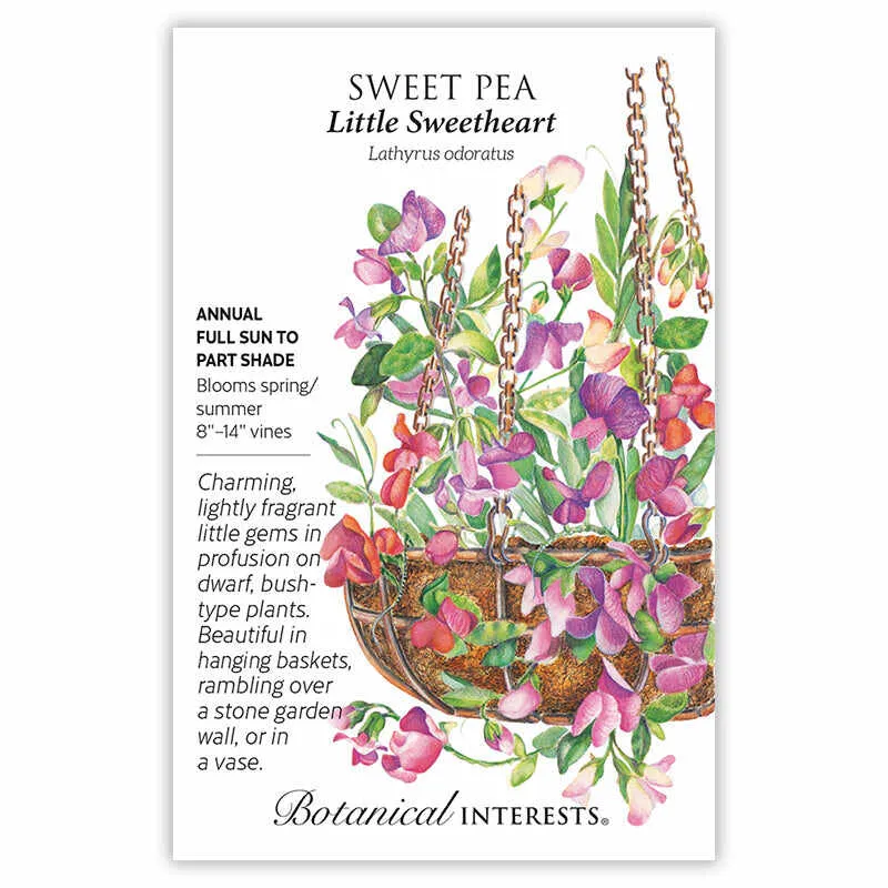 Little Sweetheart Sweet Pea Seeds