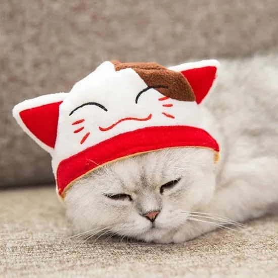 Lucky Cat Head Gear