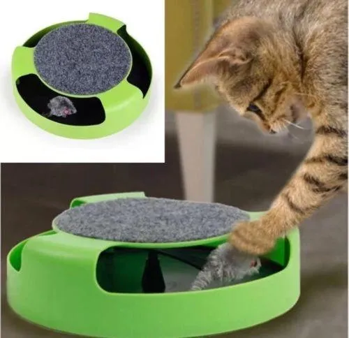 Mouse Hunt Toy