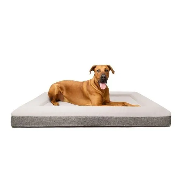 Orthopeadic Dog Bed - XL