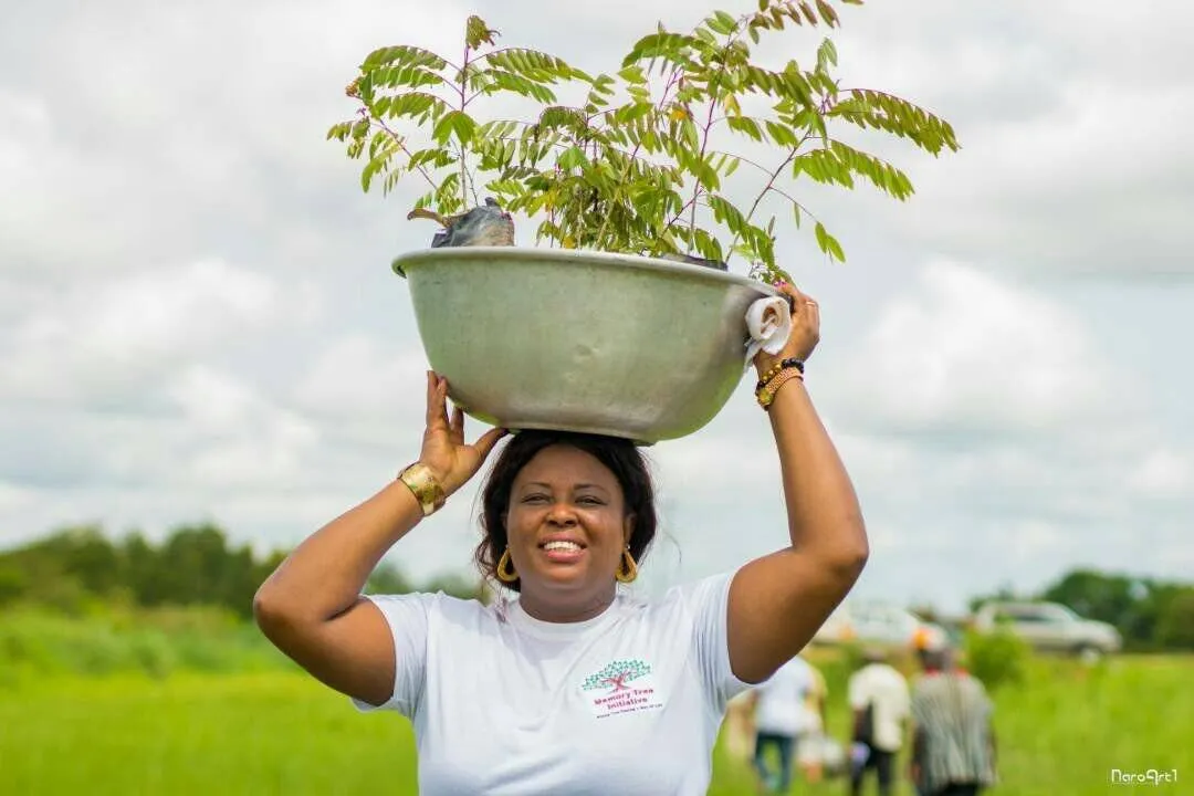 Plant a Tree