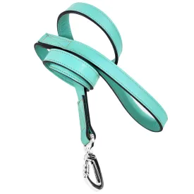 Signature Dog Leash in Turquoise & Nickel