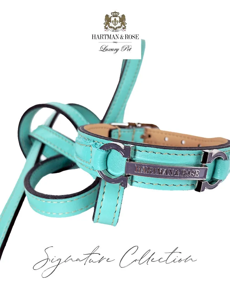 Signature Dog Leash in Turquoise & Nickel