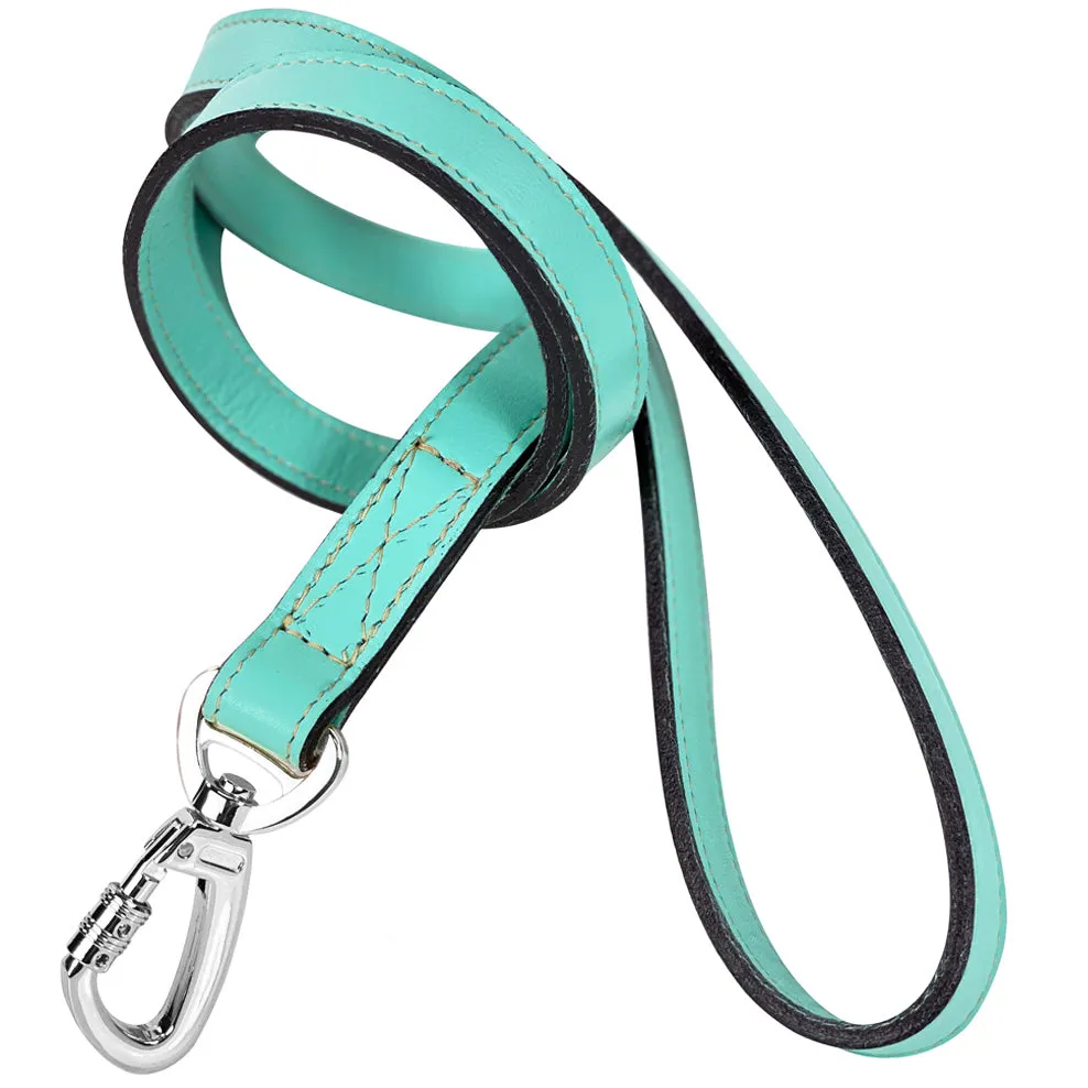 Signature Dog Leash in Turquoise & Nickel