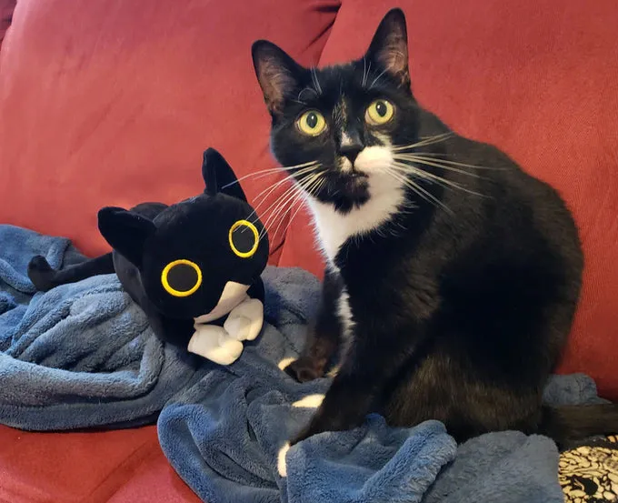 Spoons (The Cat) Plush