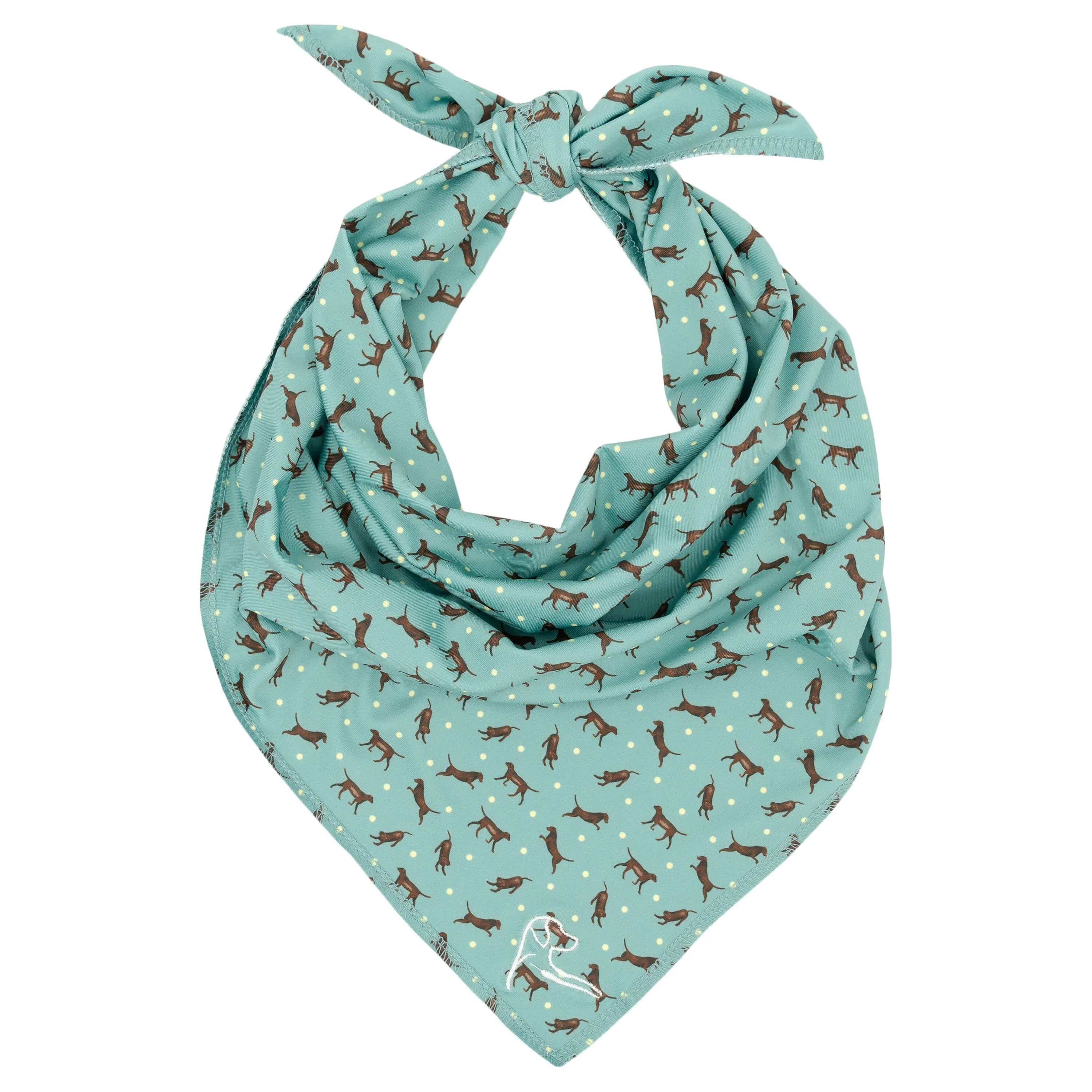 The Chocolate Lab | Performance Bandana | The Chocolate Lab - Sea Green