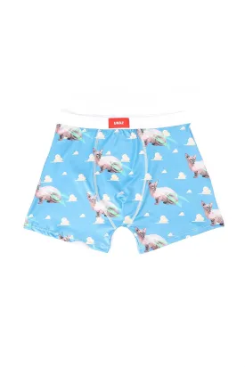 UNDZ Guys Hairless Sphinx Cat Print Boxers