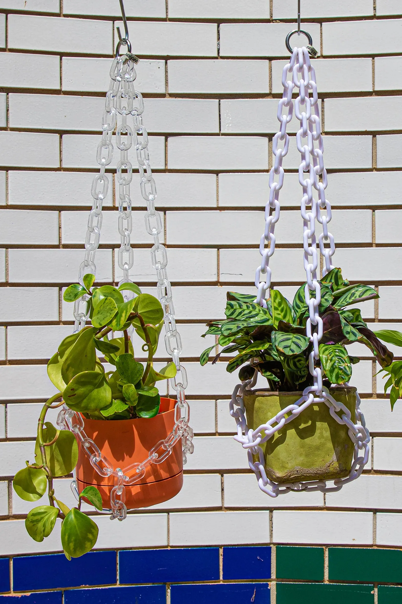 WOLJAM - UNIVERSAL PLANT HANGER - CRYSTAL